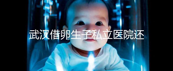 武漢借卵生子私立醫(yī)院還得看這幾家,協(xié)和、同濟(jì)醫(yī)院上榜