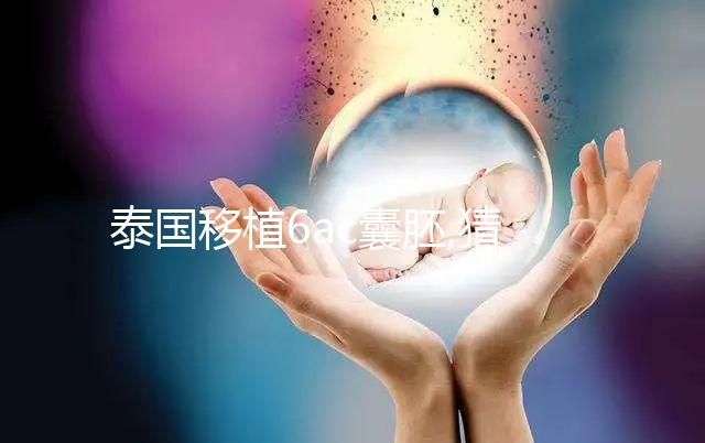 泰國移植6ac囊胚,猜測(cè)結(jié)果不如了解,助孕過程更放心