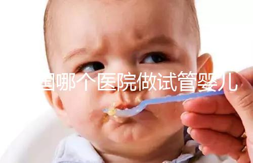 泰國哪個醫(yī)院做試管嬰兒比較厲害？全面解析與推薦