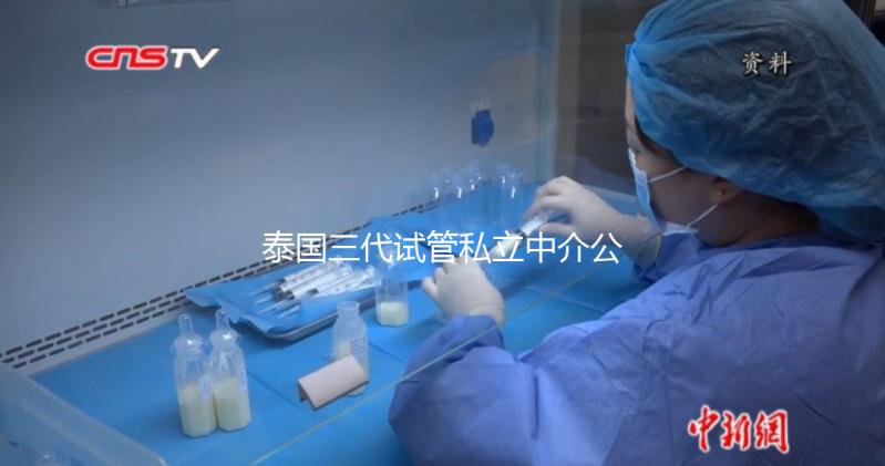 泰國三代試管私立中介公司推薦，排名一目了然，輕松選擇！