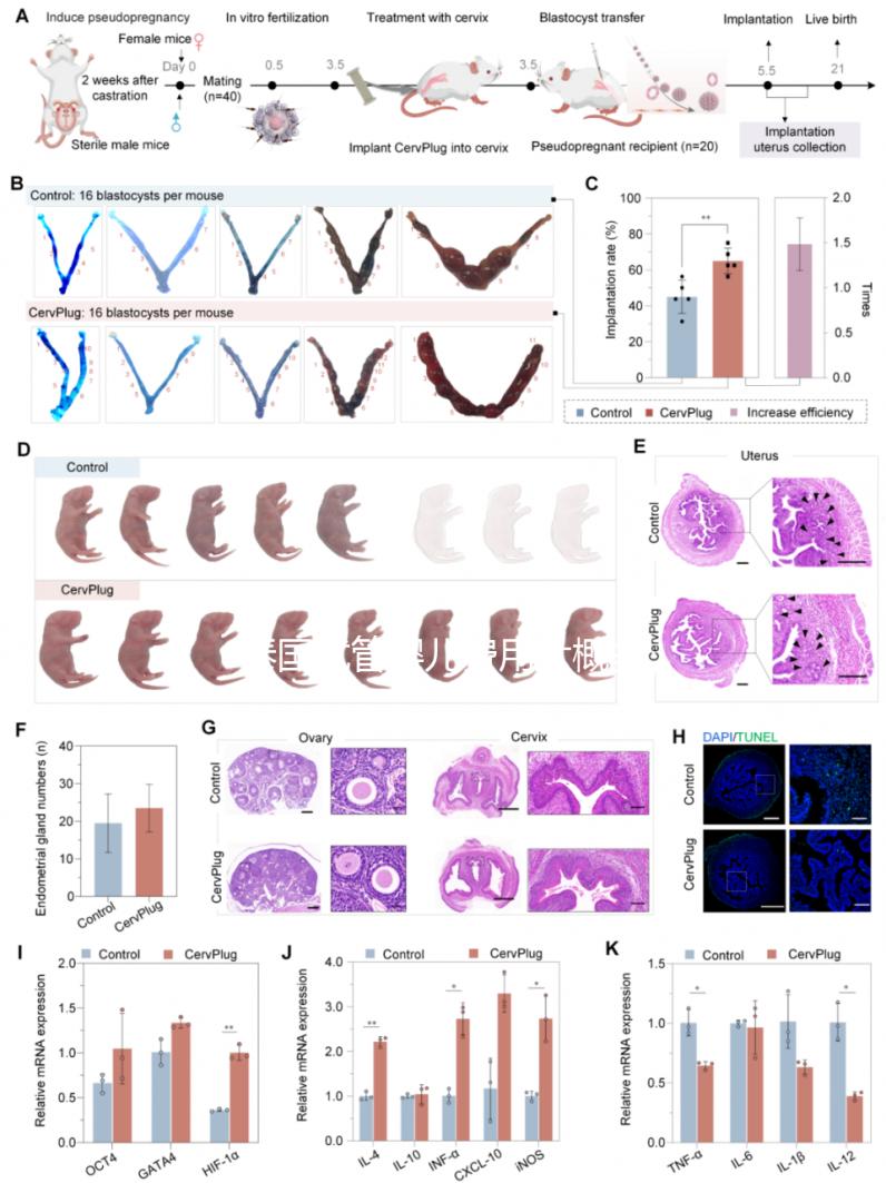 泰國試管嬰兒費用大概多少?從業(yè)12年的老友想和你聊聊這些真心話
