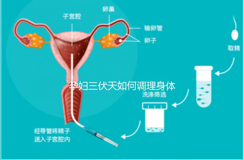 孕婦三伏天如何調理身體看這，專家：不建議曬太陽補鈣