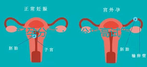 好孕分享：這份提高試管移植著床率的偏方快收藏！全是干貨