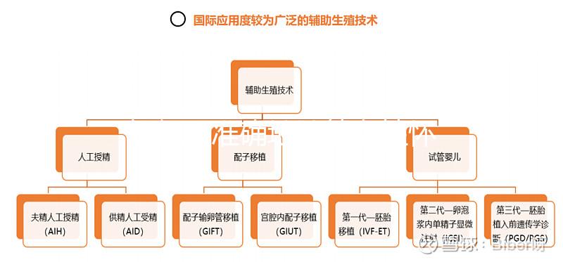 如何更準(zhǔn)確地計算女性懷孕時間?