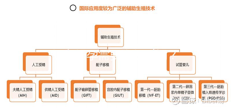 婦女懷孕需要多長時間？