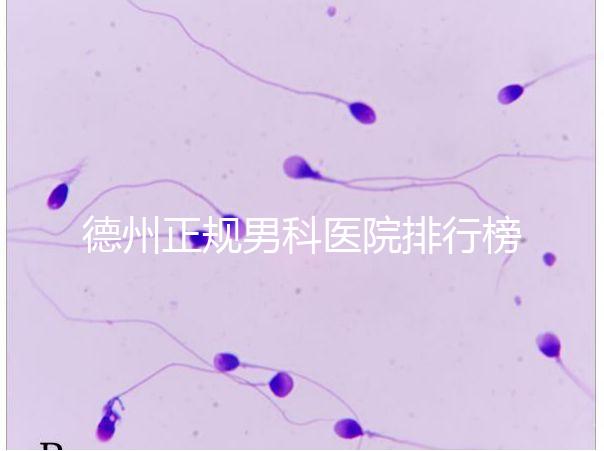 德州正規(guī)男科醫(yī)院排行榜分享！2024哪個(gè)最好一看便知