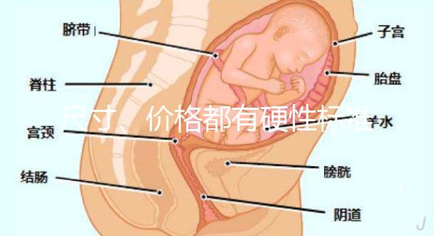 尺寸、價格都有硬性標準，選擇雙胞胎嬰兒床決不可大意！