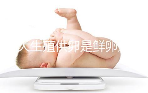 山大生殖供卵是鮮卵還是凍卵分情況，別還不清楚質(zhì)量如何