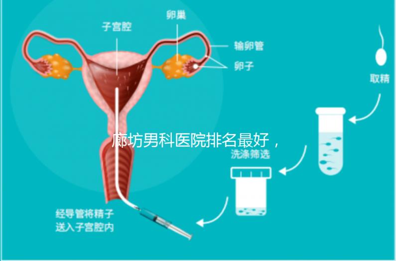 廊坊男科醫(yī)院排名最好，醫(yī)院出爐！廣陽這些機(jī)構(gòu)可以排隊(duì)