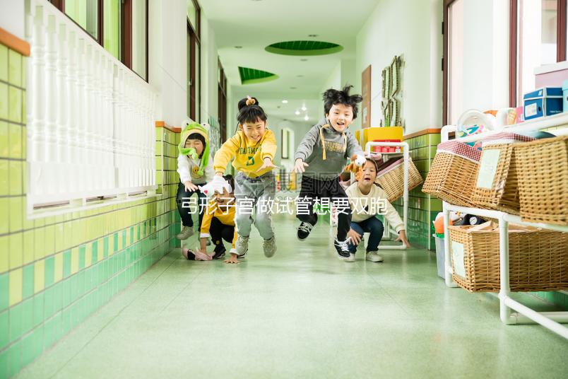 弓形子宮做試管想要雙胞胎，這4個條件成為攔路虎！