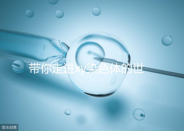 帶你走進xy染色體的世界，生男生女其實就這么回事