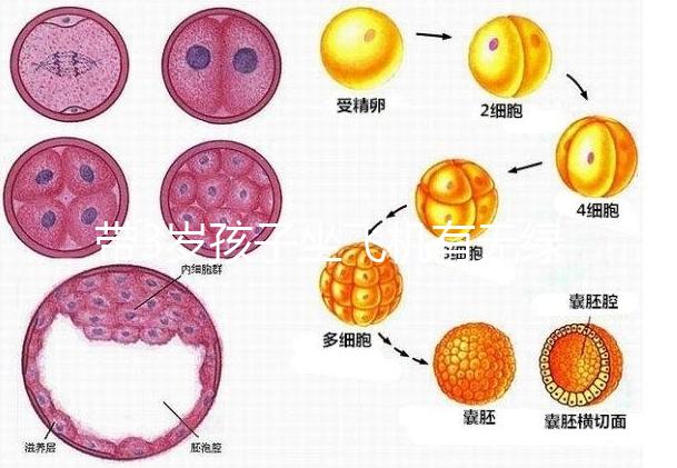 帶3歲孩子坐飛機有無綠色通道答案揭曉，提前申請免排隊