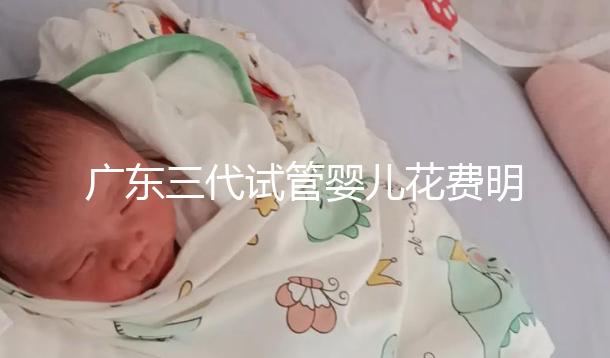 廣東三代試管嬰兒花費明細：8-15萬元，2025價格構成公布
