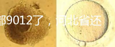 都9012了，河北省還沒三代試管嬰兒醫院，看看姐妹怎么說