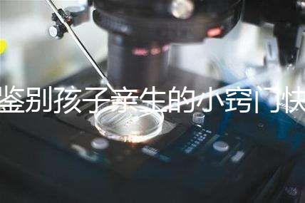 鑒別孩子親生的小竅門快收藏,取牙刷樣本準(zhǔn)不準(zhǔn)分情況