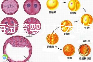 青海試管嬰兒技術助孕二胎 2家醫(yī)院費用