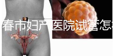 長春市婦產(chǎn)醫(yī)院試管怎樣問題解答,助孕成功率、費(fèi)用可作參考