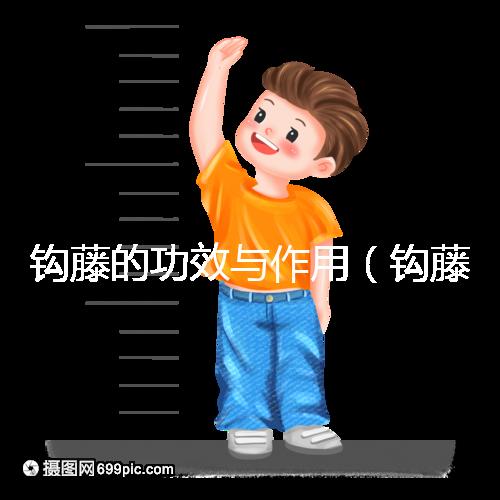 鉤藤的功效與作用(鉤藤的毒性有多強)