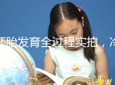 胚胎發育全過程實拍，冷凍胚胎移植后著床圖解（視頻）