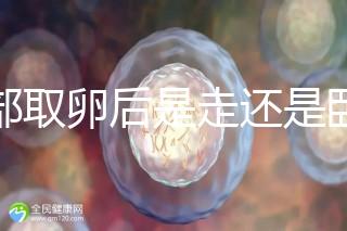 腹部取卵后是走還是臥床？適當走路喝點紅豆水是正確做法