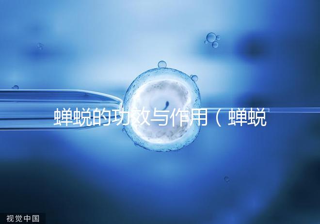 蟬蛻的功效與作用（蟬蛻的壯陽功效）