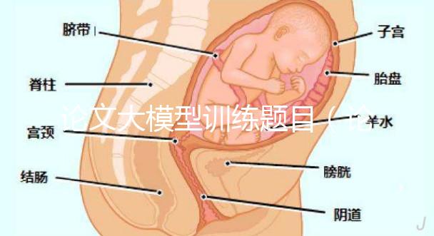 論文大模型訓練題目（論文大模型訓練題目怎么寫）