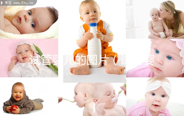 試管嬰兒的圖片(試管嬰兒的圖片表示)