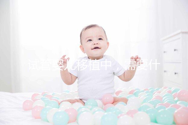 試管嬰兒移植中，需要什么樣的子宮內(nèi)膜條件？