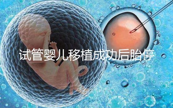 試管嬰兒移植成功后胎停（試管嬰兒為什么會胎停）