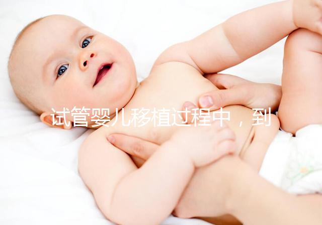 試管嬰兒移植過程中，到底是囊胚好還是鮮胚好？