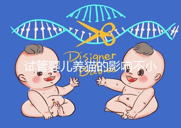 試管嬰兒養貓的影響不小，這三大危害一文說清楚