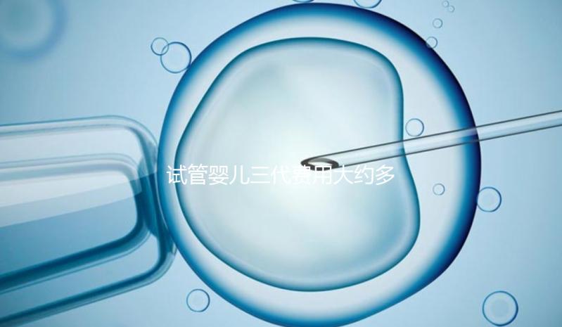 試管嬰兒三代費(fèi)用大約多少？