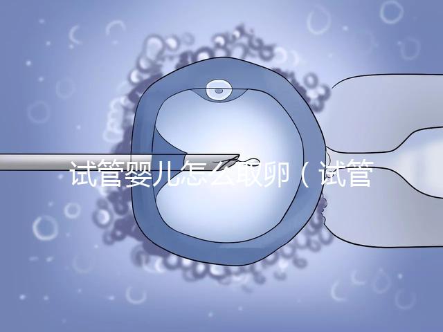 試管嬰兒怎么取卵(試管嬰兒怎么取卵過(guò)程視頻)
