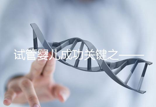 試管嬰兒成功關(guān)鍵之——子宮內(nèi)膜環(huán)境15問(wèn)15答