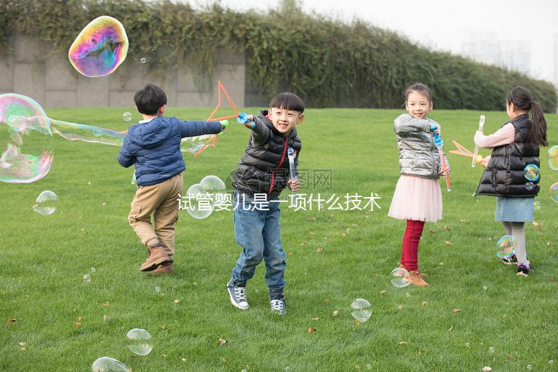 試管嬰兒是一項什么技術？