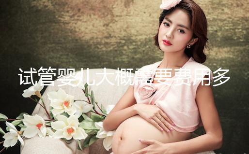 試管嬰兒大概需要費用多少？怎么確定花多少錢？