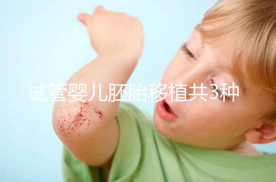 試管嬰兒胚胎移植共3種方案，成功率、技術有啥不一樣？