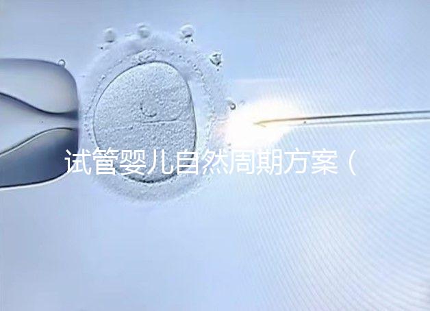 試管嬰兒自然周期方案（試管嬰兒自然周期方案B超監測第15天了,卵泡還沒破咋辦）