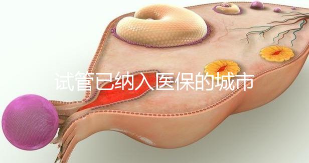 試管已納入醫(yī)保的城市