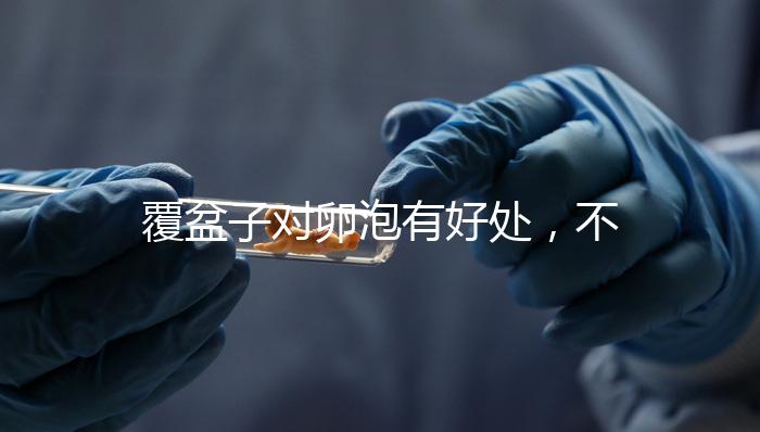 覆盆子對卵泡有好處，不要錯過維持卵巢早衰，軟化宮頸