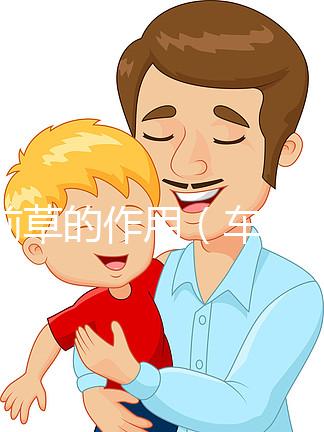 車前草的作用（車前草的作用和功能主治）