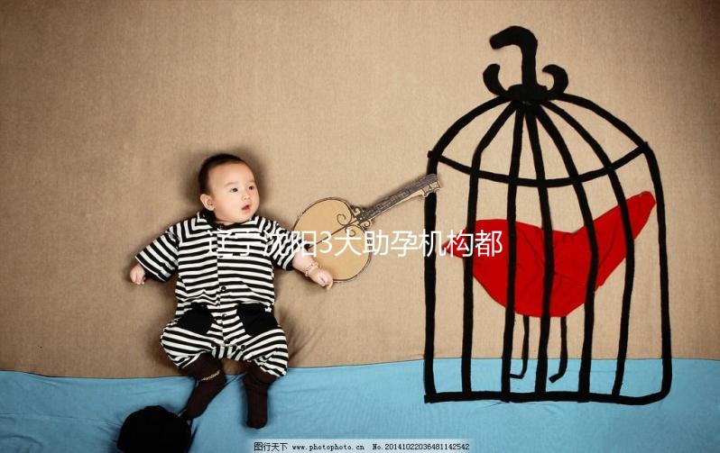 遼寧沈陽3大助孕機(jī)構(gòu)都在這，來看看你知道幾家