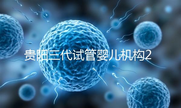 貴陽(yáng)三代試管嬰兒機(jī)構(gòu)2024年排名前十,參考知名醫(yī)院名單!