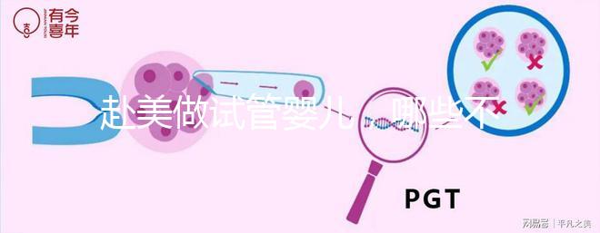 赴美做試管嬰兒,哪些不孕類問題更容易成功?