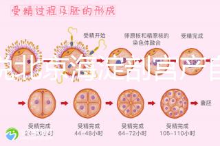 誰(shuí)說(shuō)北京海淀剖宮產(chǎn)自付費(fèi)用高，了解2024年生育保險(xiǎn)報(bào)銷比例？