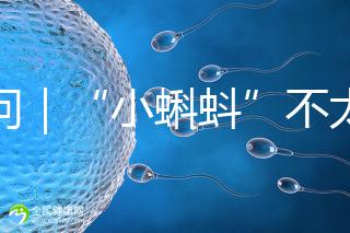 追問｜“小蝌蚪”不太給力，一代二代試管嬰兒技術哪個強？