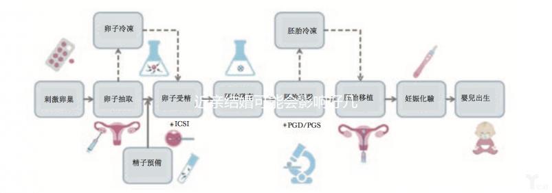 近親結婚可能會影響好幾代人，危害你真的承受不起！