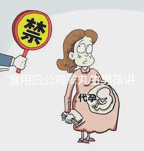 食用白公雞睪丸生男孩講方法，1分鐘說清楚具體怎么吃