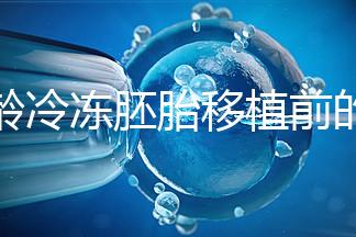 高齡冷凍胚胎移植前的注意事項和禁忌可以清楚地分類嗎？