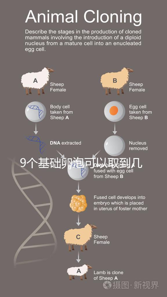 9個基礎卵泡可以取到幾個卵戳，促排后會不會增加很重要
